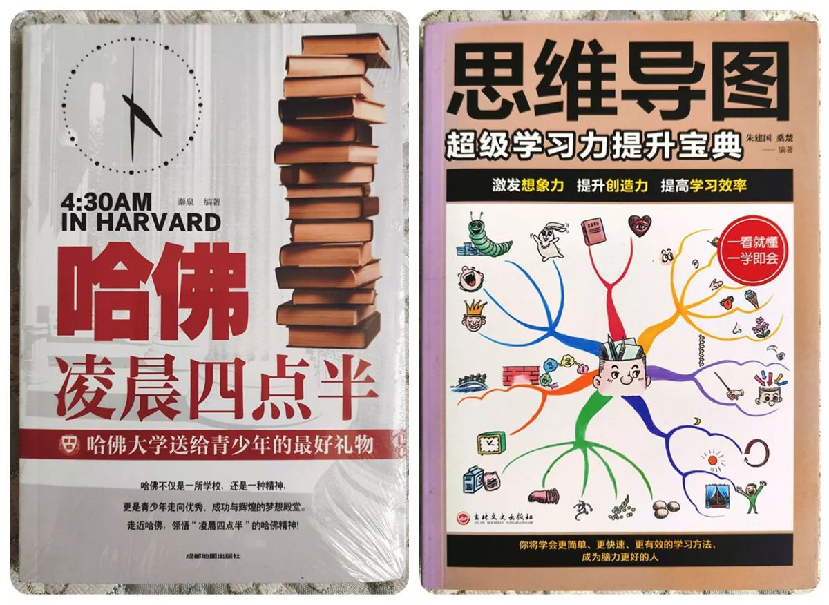 【付邮送】哈佛凌晨四点半+思维导图