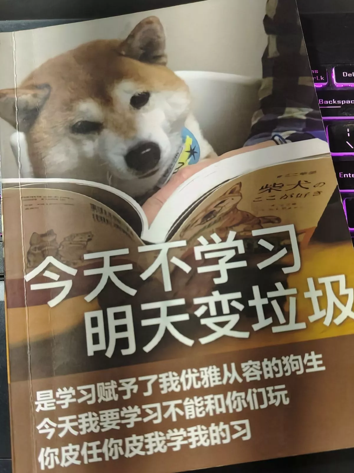 昨天的上篇的封面。这是我用来记笔记的本子。